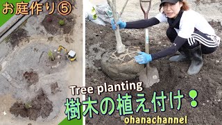 【庭作り⑤】樹木の植え付け🌳土壌改良➜庭木選び➜植樹➜支柱🌲Tree Planting❕