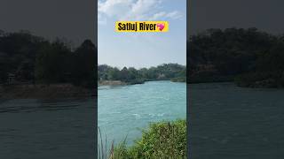 Satluj River 🌺❤️‍🩹 #satluj #river #canal #punjab #explore #viral #trendingshorts