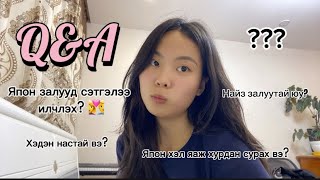 Q&A  1k special ✨ Япон хэл сурах болон бусад