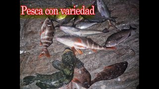 Aventura de Pesca Improvisada: ¡Sorpresas del Mar!