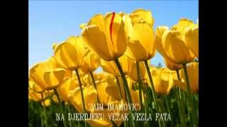 ZAIM IMAMOVIC - Na djerdjefu vezak vezla Fata