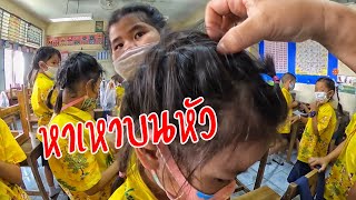 หาเหาบนหัว | ครูนกเล็ก