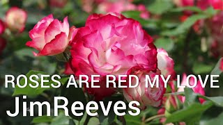 Download Lagu Roses are Red my Love LYRICS Jim Reeves... MP3 Gratis