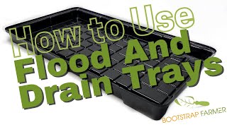 How to Use Flood and Drain Trays