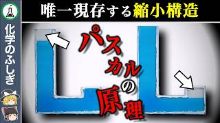 【ゆっくり解説】水の錯視...「誰もが分かる簡単な盲点」