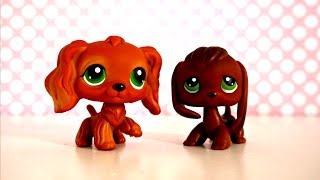 LPS: The Cleaning Disaster! | LPSskittles