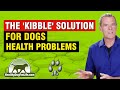 10 Common Dog Health Issues [1 POWERFUL Kibble Diet Solution]