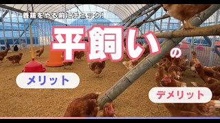 誰も教えてくれない…平飼いのメリットデメリット