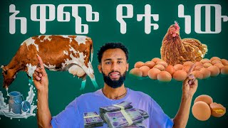 ከወተት ላሞች እና ከዶሮዎች አዋጭ የቱ ነው ሙሉ መረጃ