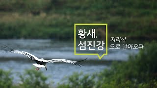 섬진강 찾아 온  황새  [온새미로] vol3