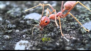 폴 러드, 마이클 더글라스의 병맛 앤트맨 홍보영상