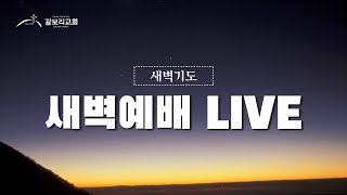 대구 갈보리교회 새벽예배 라이브 방송 [2025.01.19]