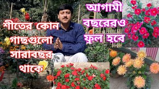 শীতের বাগানে যে গাছগুলো দীর্ঘদিন ফুল দেয় | যে গাছ থেকে আবার চারা তৈরী করা যাবে | My Garden