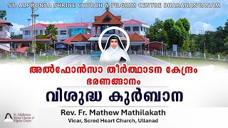 Holy Qurbana Live | 11.30am, 12 Feb.2024, Fr. Mathew Mathilakath, St. Alphonsa Shrine, Bharananganam