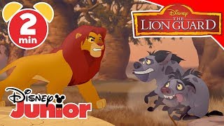 The Lion Guard | L'esercito di Scar - Disney Junior Italia