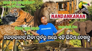 Nandankanan zoological park bulibaku asantu #nandankananzoologicalpark#zoo#viralvideo#animal