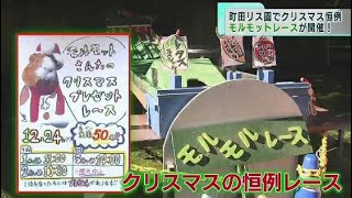 3年振りの行動制限ないクリスマスイブ 日比谷や町田でイベント開催！