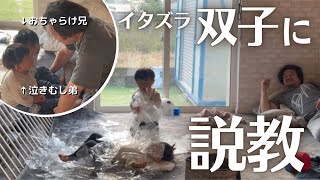 【もうやめてくれ】仏の父がイタズラ放題な2歳双子に雷⚡️