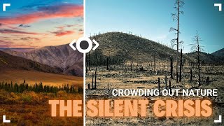 How Human Population Growth Is Devastating Wildlife Habitats – The Silent Crisis #populationgrowth