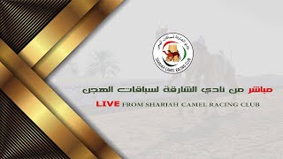 بـث مباشر من نادي الشارقة لسباقات الهجن -  شارة الديوان 11 سن الإيذاع  09/02/2025 المسافة 6 كم