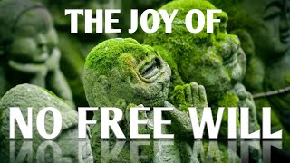 The joy of no free will  |  Dr. James Cooke