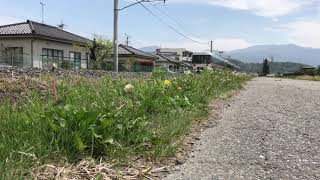 大糸線を駆け抜ける383系