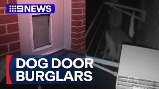 Dog door burglary | Brazen thieves enter home while family sleeps | 9 News Australia