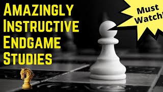 Amazingly Instructive Chess Endgame Studies/Problems | Chess Problems Every Player Should Know