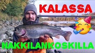 KALASTETAAN KIRJOLOHTA NAKKILAN ARANTILANKOSKELLA | ARANTILA | LOHIJOKI