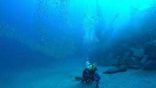 冬の群れ　紀伊大島　須江内浦ビーチ