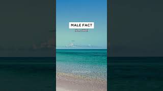 Facts About Male 😎💪Men's Fitness Motivation Secrets (Fitness Edition) #shorts #subscribe