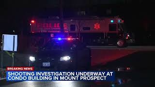 Woman shot inside Mount Prospect condo building's garage; offender critically injured: police