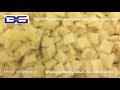 Fried pillow snack pellet food extruder machine/Twin screw extrusion fry papad fryums plant