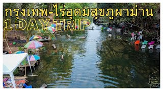 ข้อมูลแนะนำเที่ยวภูผาม่านไร่อุดมสุขฝายนาตาสวน 1 วันจากกรุงเทพล่าสุด เทรนวันนี้เป็นเอกเรื่องเที่ยว