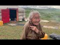 exploring the mongolian wilderness with damian anfile the khustain nuruu national park