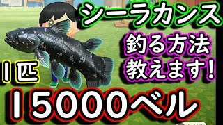 【あつまれどうぶつの森】シーラカンスを釣る方法！教えます！！