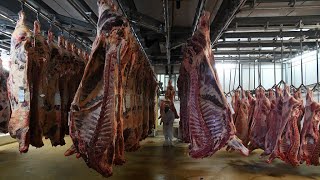 France hit by new Covid-19 outbreaks in two abattoirs