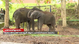 മുഖം മിനുക്കി കോട്ടൂർ ആന പുനരധിവാസ കേന്ദ്രം; അന്താരാഷ്ട്ര നിലവാരത്തിൽ സൗകര്യങ്ങൾ