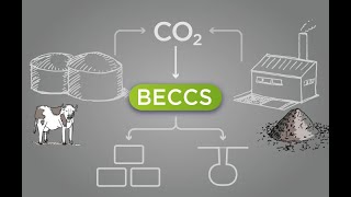 Bio360 2025 : Captage et utilisation du CO₂ issu des gaz de combustion