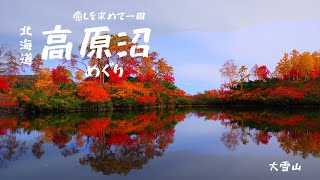 ２０年に一度の紅葉【北海道】道北 上川町 大雪山 高原沼 ４K 癒し 旅行 観光 登山 hokkaido