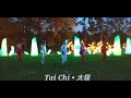 tai chi at the winter lantern show nassau museum of art