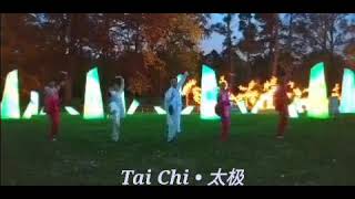 Tai Chi at the Winter Lantern Show(Nassau Museum of Art)