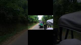 රොද දෙකෙන් යන tuk tuk වැඩ්ඩෝ 👹️ tuk tuk srilanka #tuktuk #shrots #subscribe