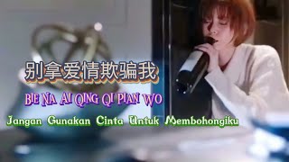 Lyric Pinyin - 别拿爱情欺骗我 - Bie Na Ai Qing Qi Pian Wo - 莫思念 (Mo Si Nian)