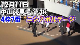 馬をなでなで酒井学騎手 中山競馬場の第3Rで9番人気ニシノボルテージを勝利に導く‼️ 現地映像