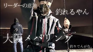 【大阪メバリング】メバル初場所探索　とりあえず1匹ゲットだぜ！釣りの後は恒例の〇〇！？