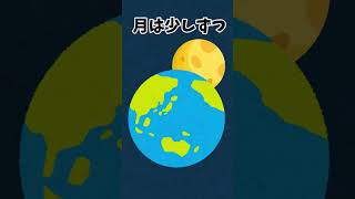 【トリビア】今すぐ人に教えたくなる雑学・豆知識　#雑学 #あるある #トリビア #豆知識 #知識 #ざつがく #面白い #ゆっくり#名前   #2ch #わからない   #日常