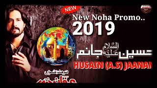 irfan Hyder New Nohay 2019 / HUSAIN （A.S）Jaanam #IRFANHYDER #NEWNOHAY #NOHAY #NOHAY2019 #AZADARI