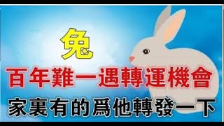 生肖兔：要轉運，百年難得一遇大喜事，趕快出來接喜了 | 星座生肖