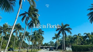 Endless Summer 🌞 Starting Life in Florida 🌴(Trader Joe’s Pancake Mix, Daily Life in the USA Vlog)